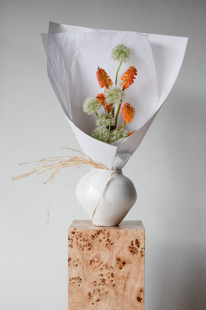 COMPLEMENT VOL 04 - MEDIUM