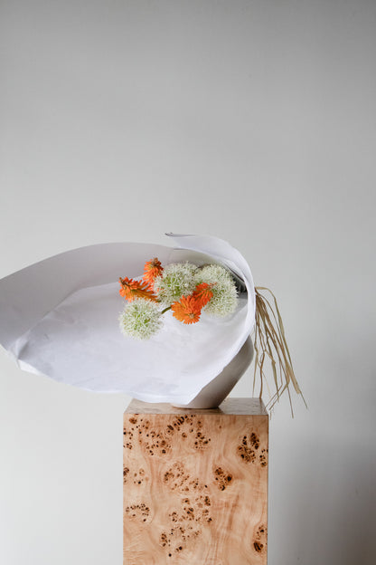 COMPLEMENT VOL 04 - MEDIUM