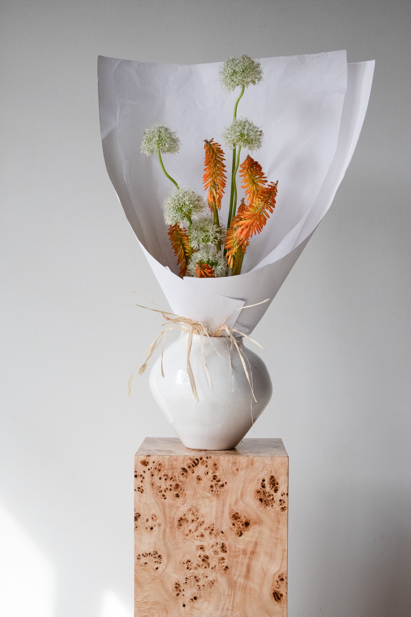 COMPLEMENT VOL 04 - LARGE