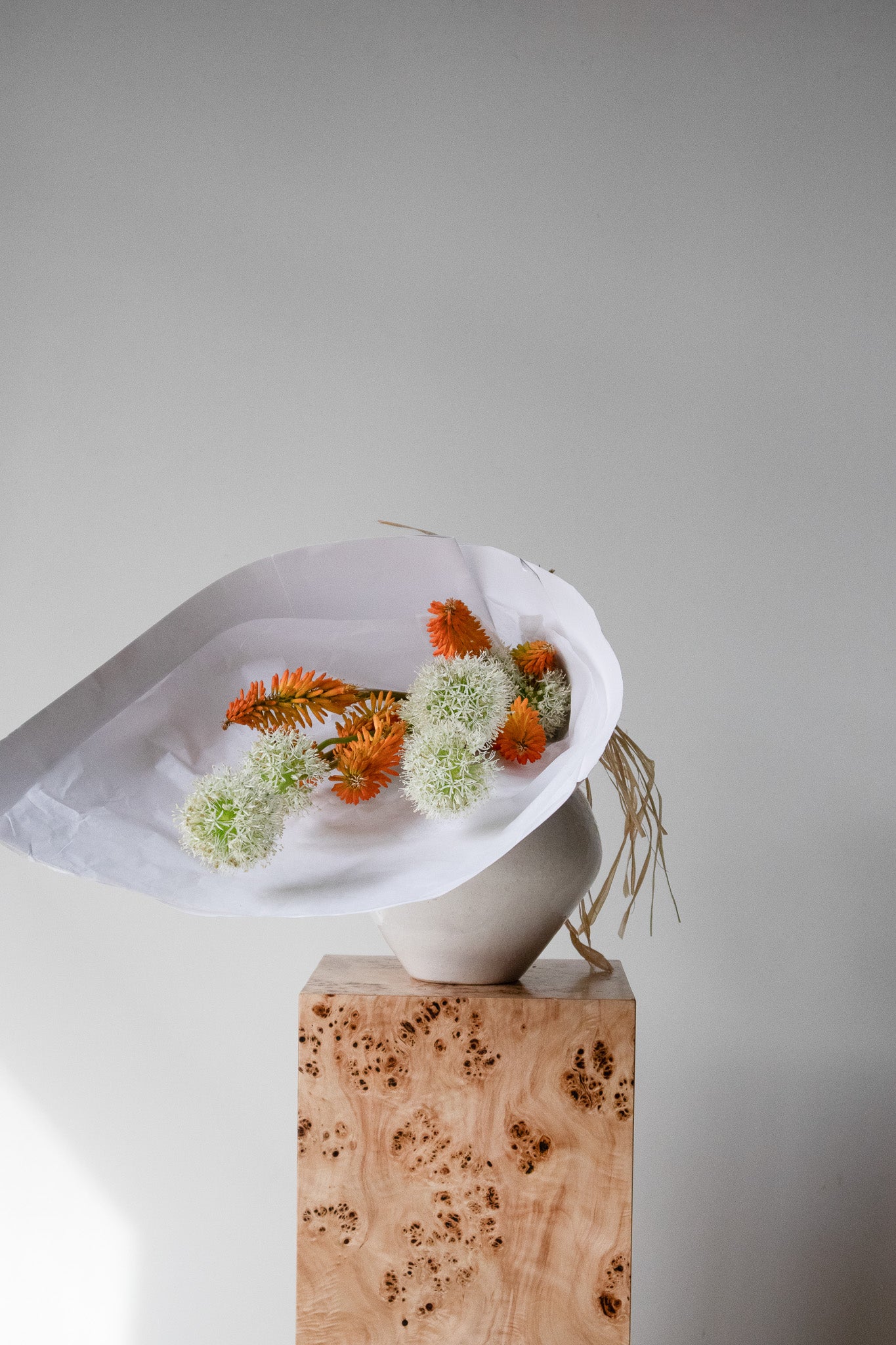 COMPLEMENT VOL 04 - LARGE