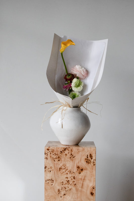 COMPLEMENT VOL 05 - SMALL