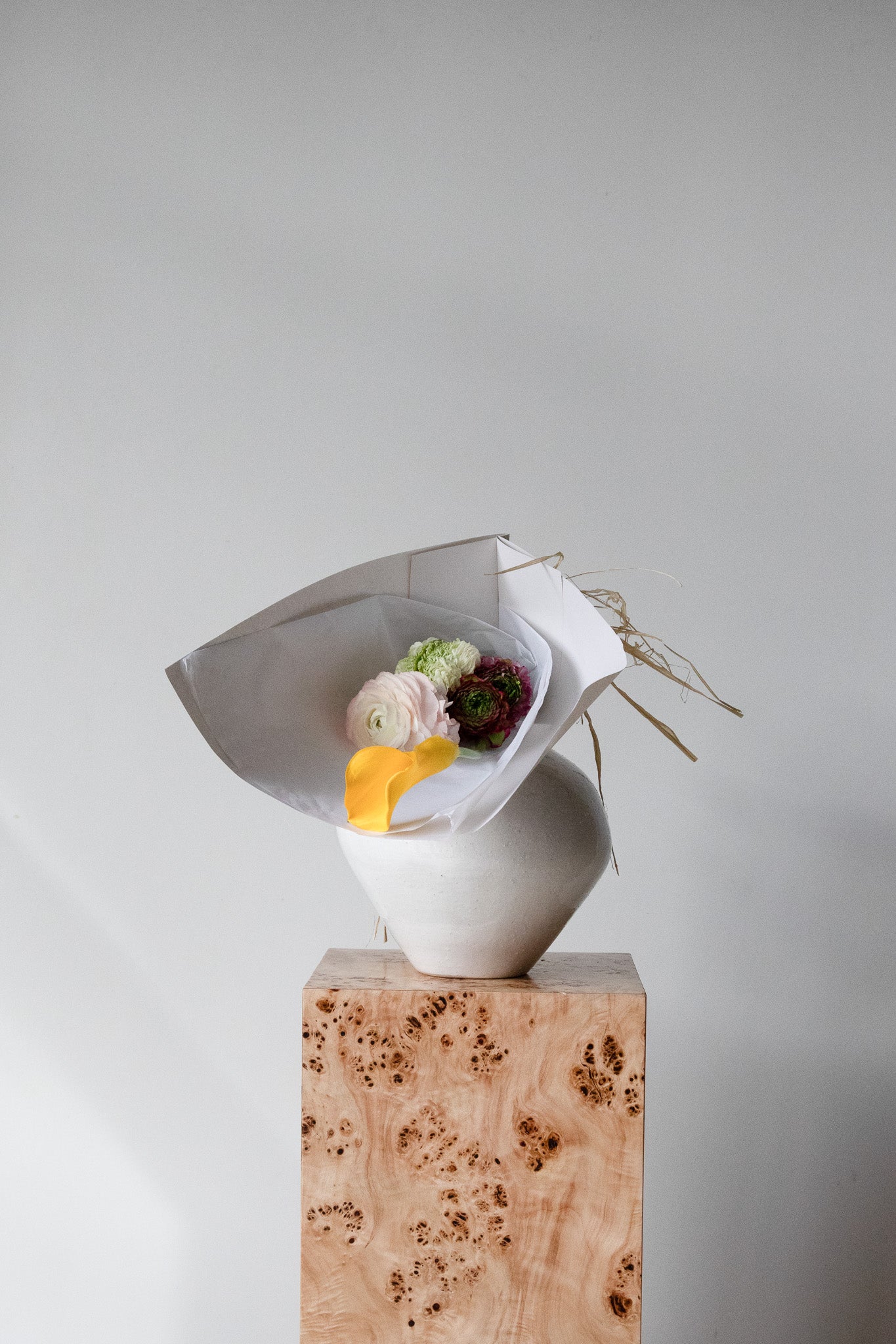 COMPLEMENT VOL 05 - SMALL