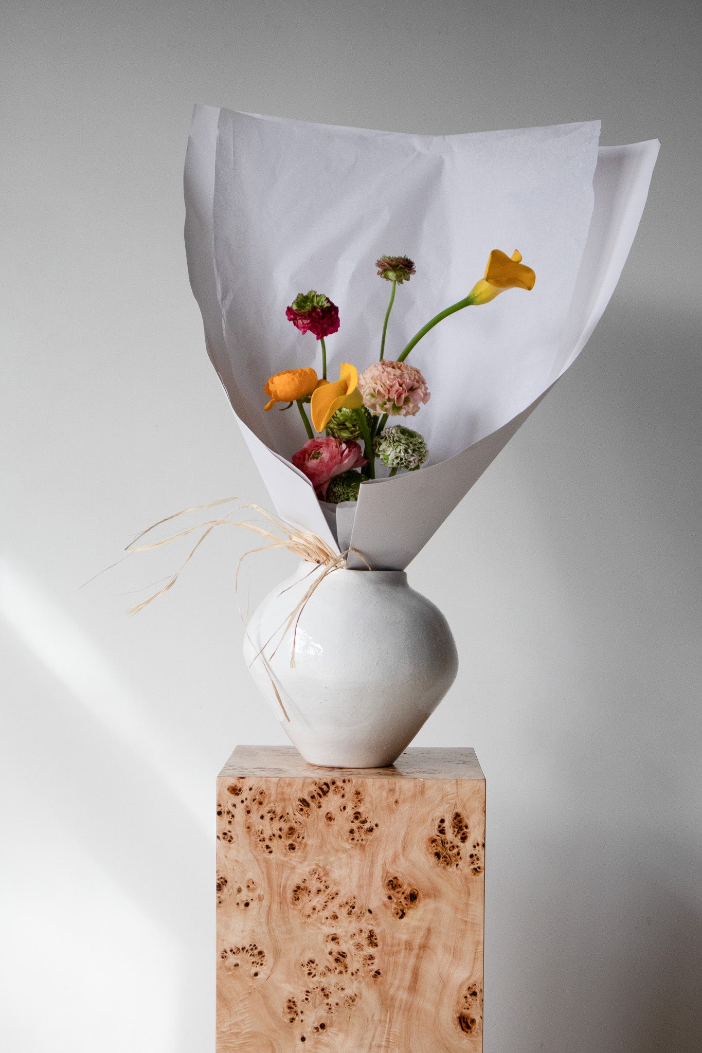 COMPLEMENT VOL 05 - MEDIUM