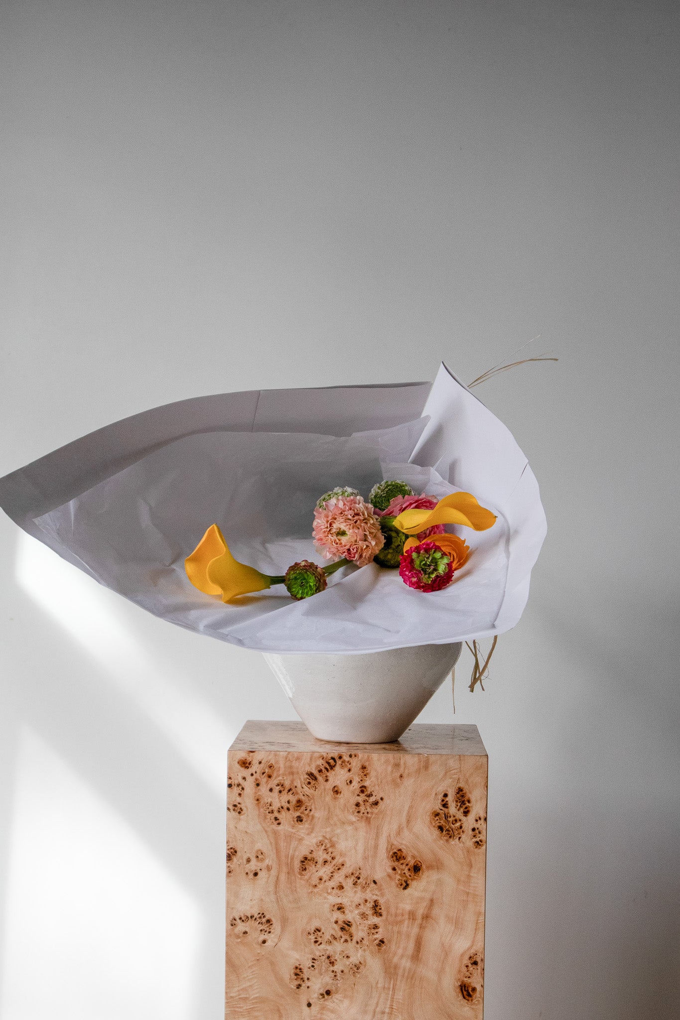 COMPLEMENT VOL 05 - MEDIUM