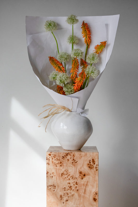 COMPLEMENT VOL 04 - EXTRA LARGE