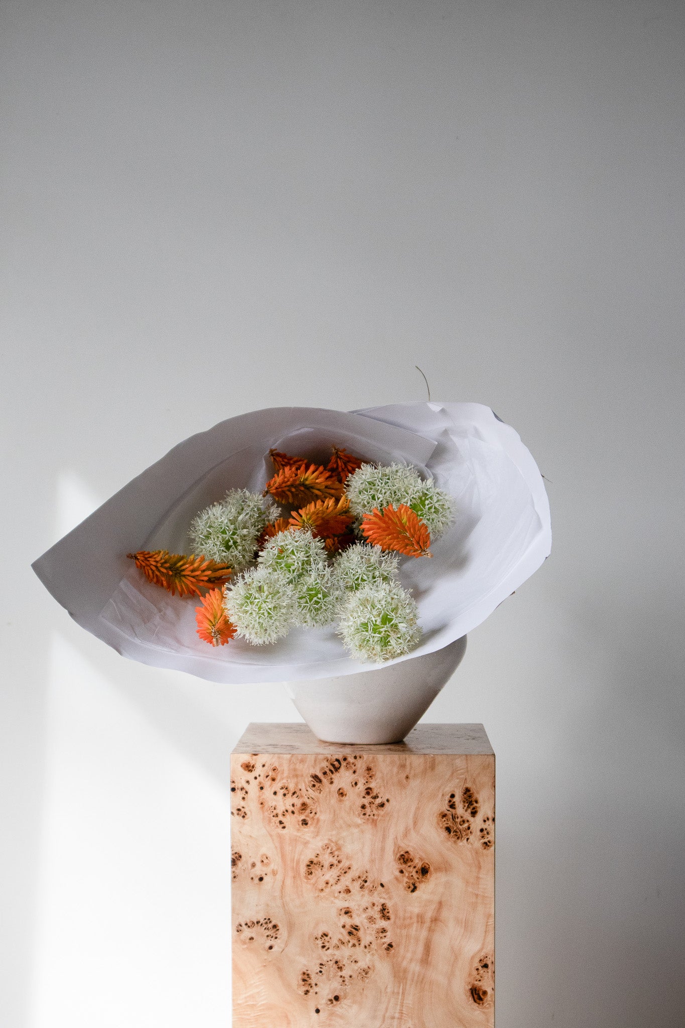 COMPLEMENT VOL 04 - EXTRA LARGE