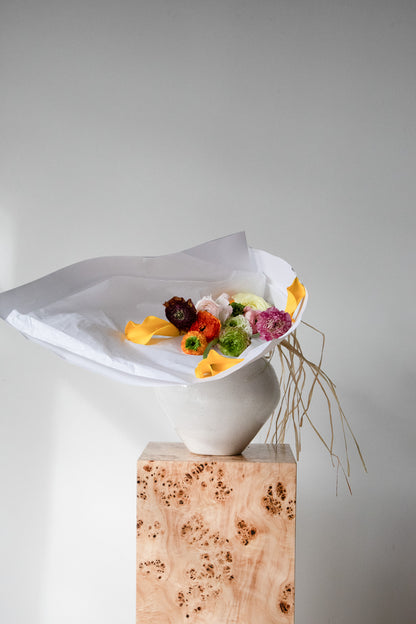 COMPLEMENT VOL 05 - LARGE