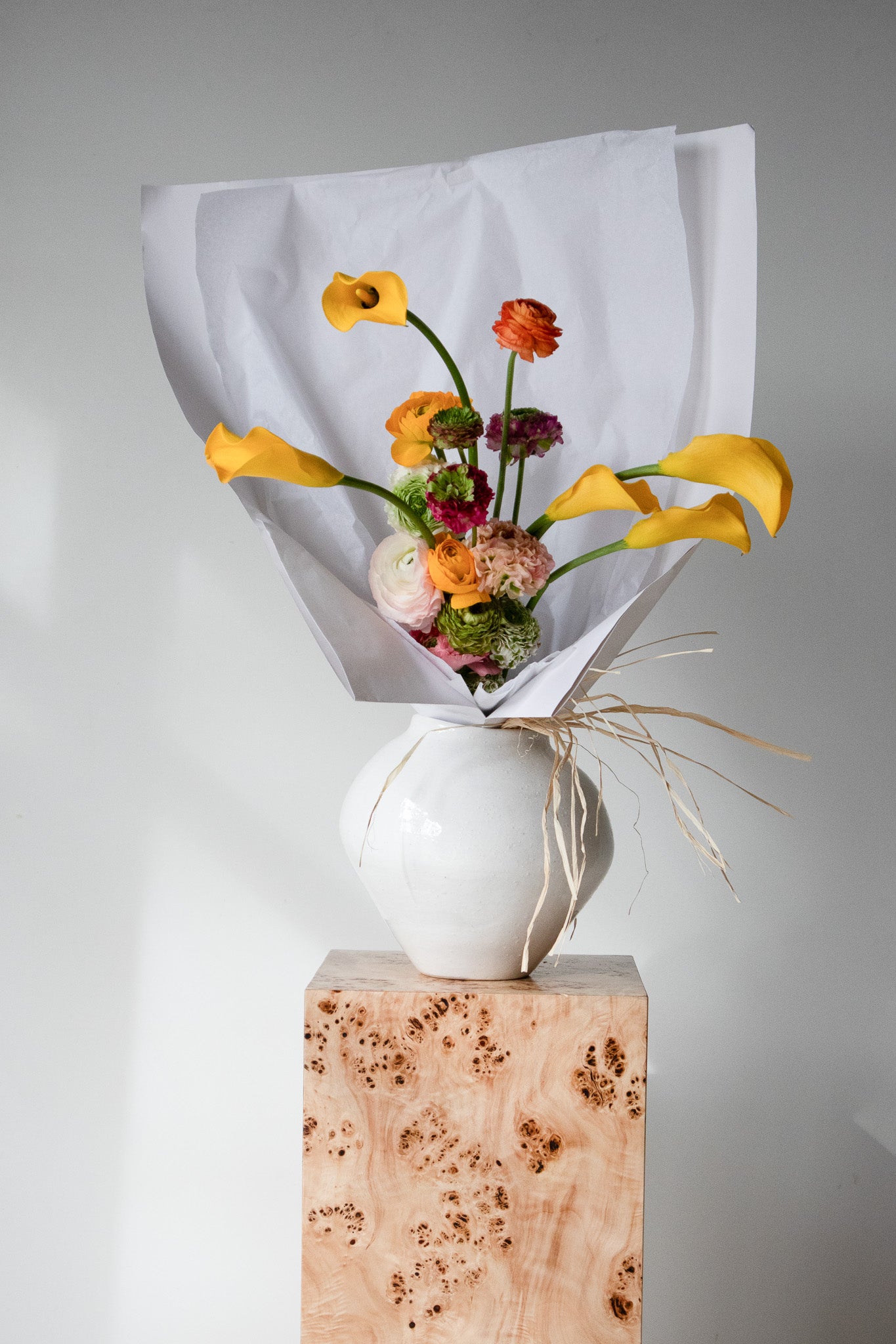 COMPLEMENT VOL 05 - EXTRA LARGE