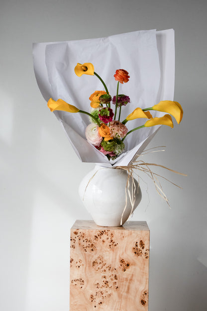 COMPLEMENT VOL 05 - EXTRA LARGE