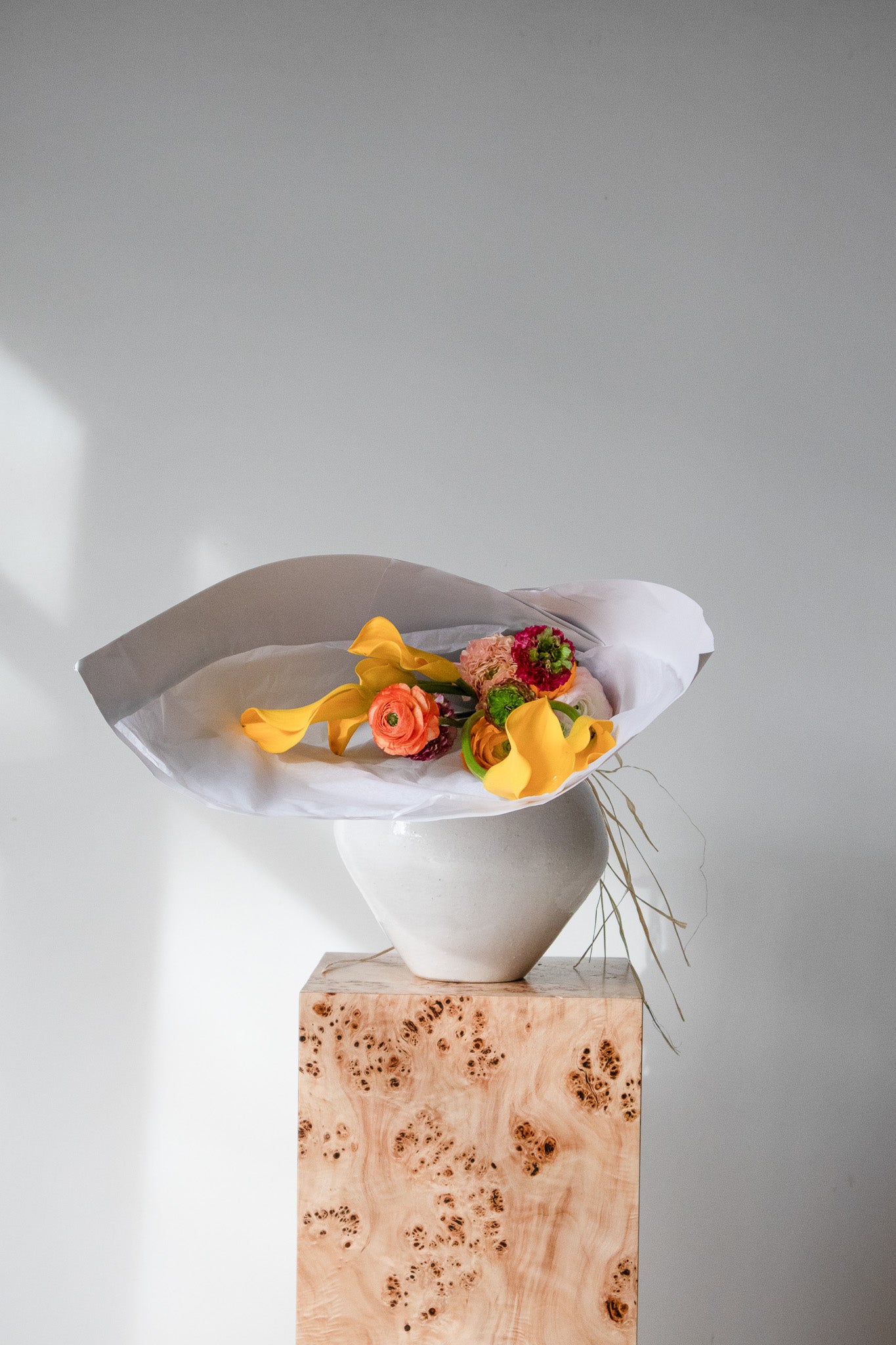 COMPLEMENT VOL 05 - EXTRA LARGE