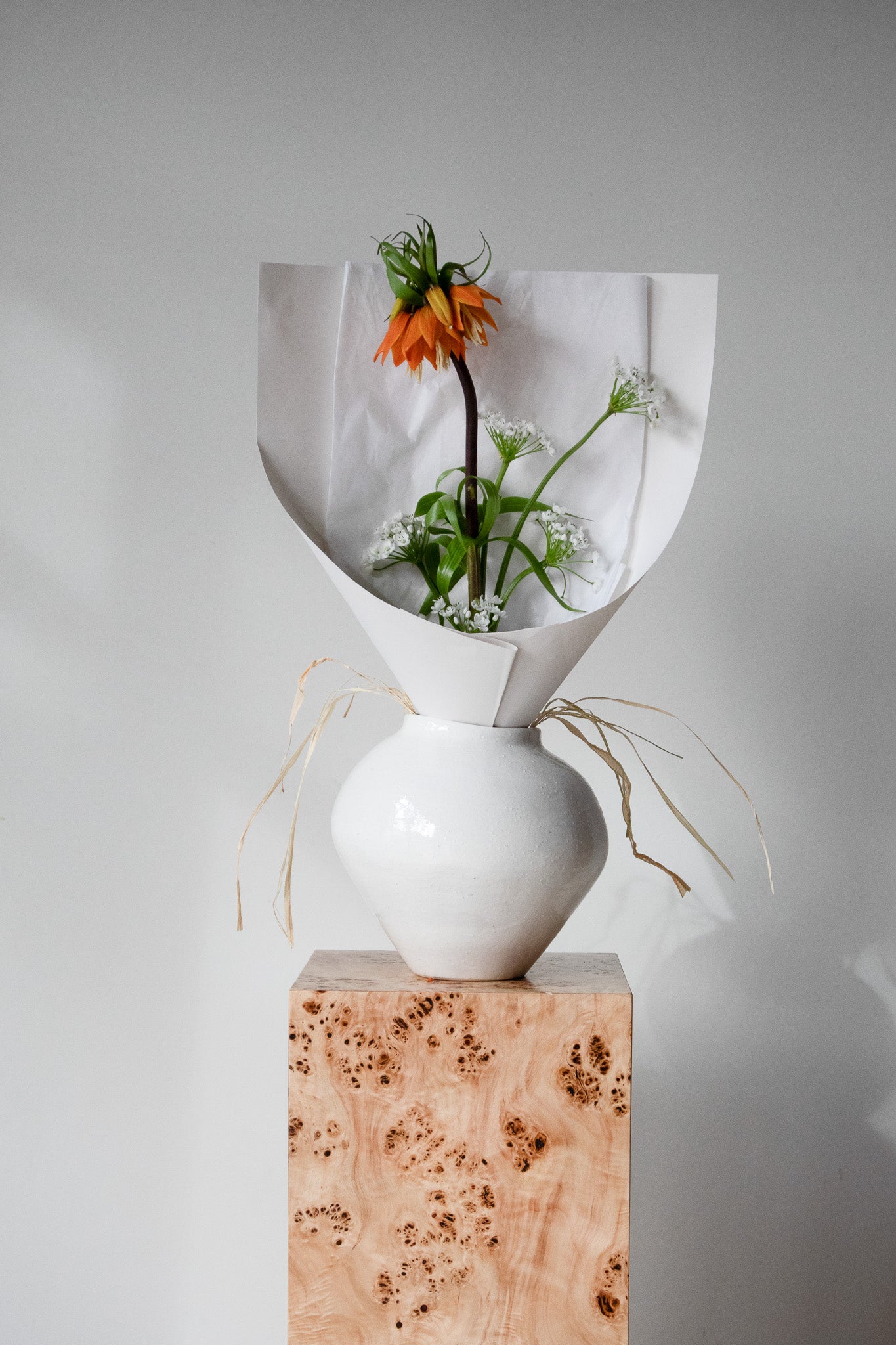 COMPLEMENT VOL 06 - SMALL