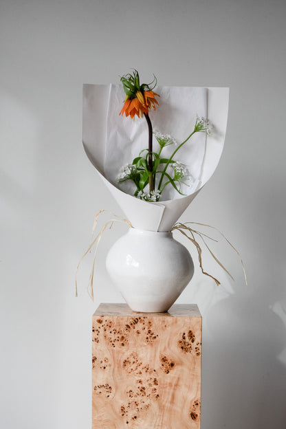 COMPLEMENT VOL 06 - SMALL