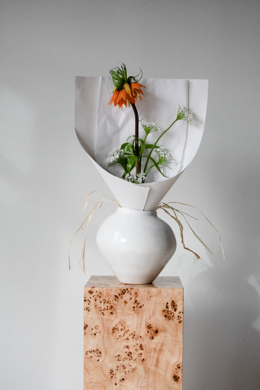 COMPLEMENT VOL 06 - SMALL