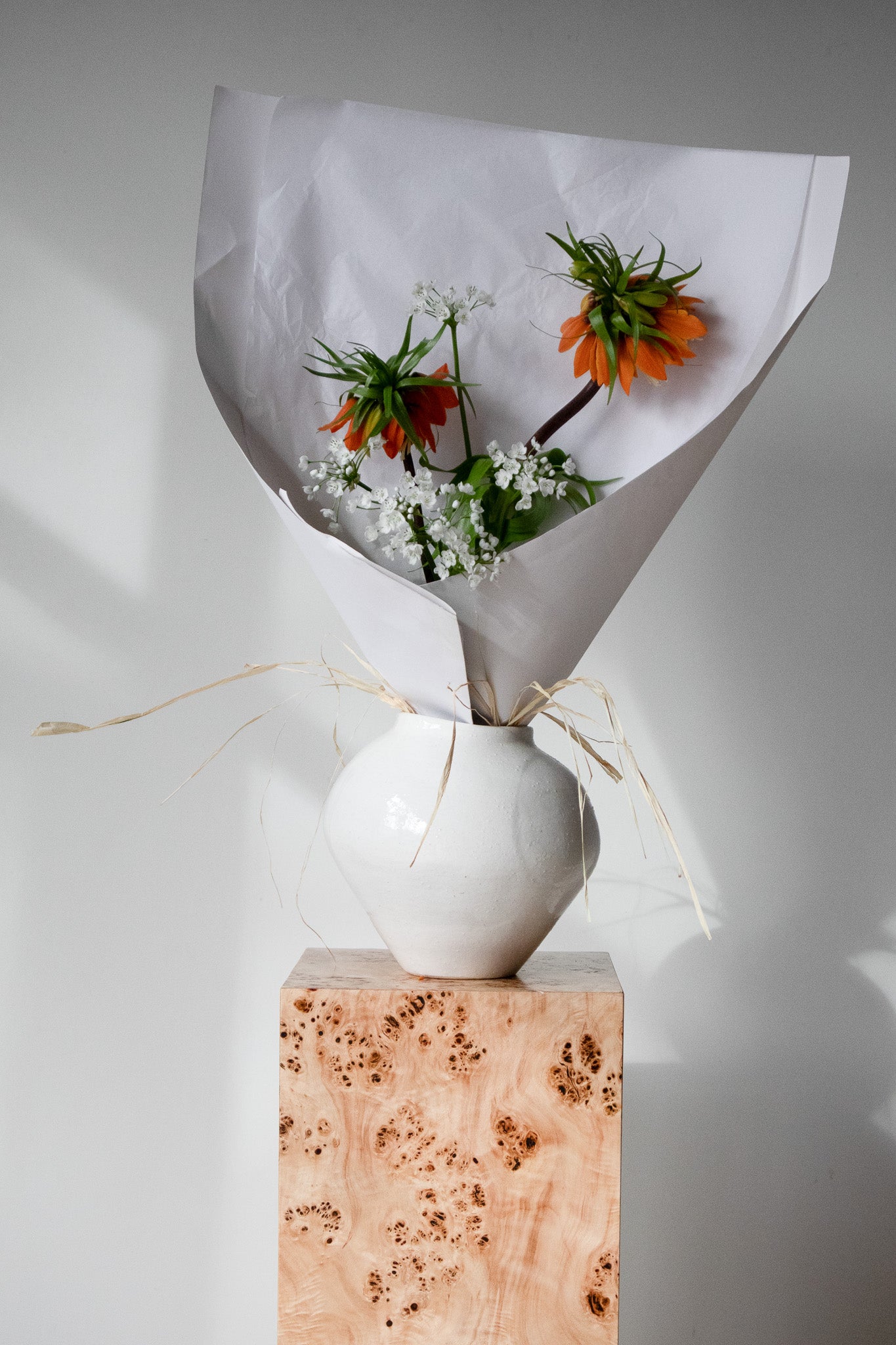 COMPLEMENT VOL 06 - MEDIUM