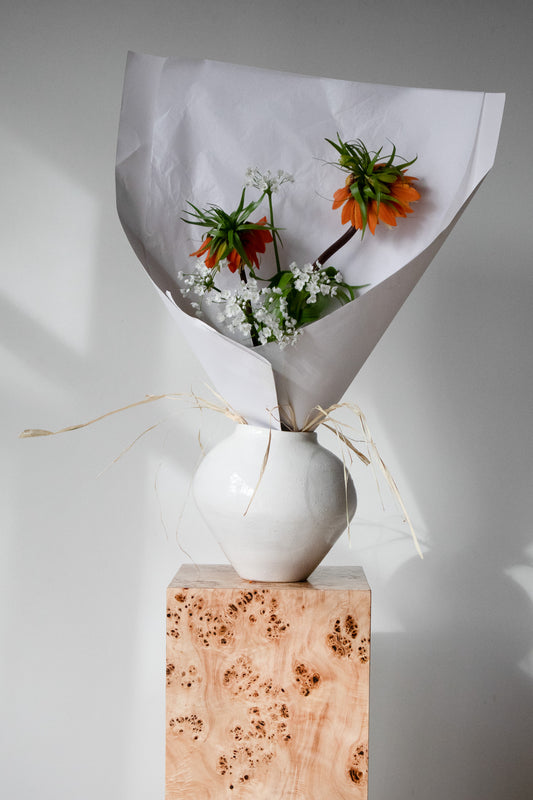 COMPLEMENT VOL 06 - MEDIUM