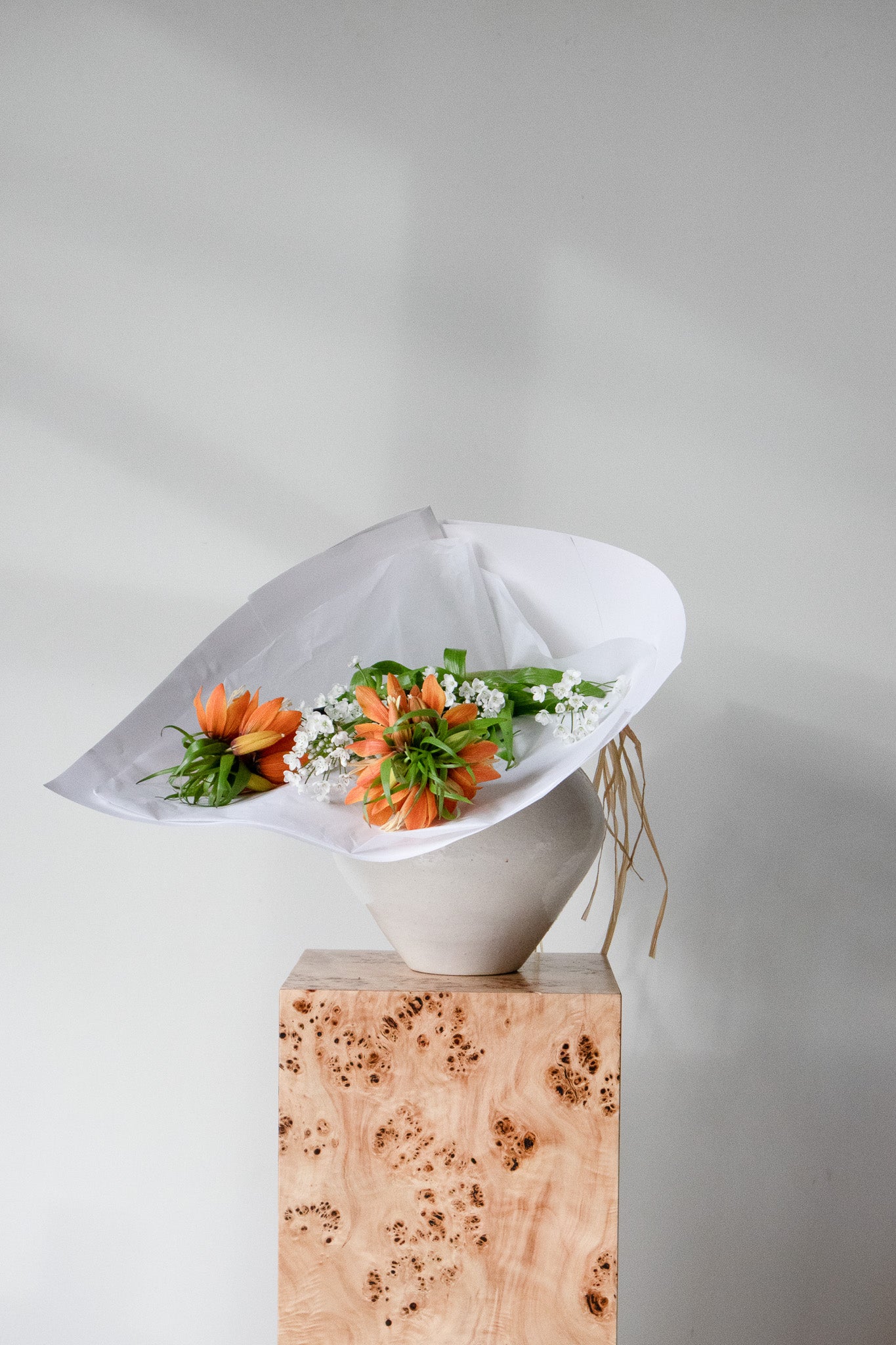 COMPLEMENT VOL 06 - LARGE