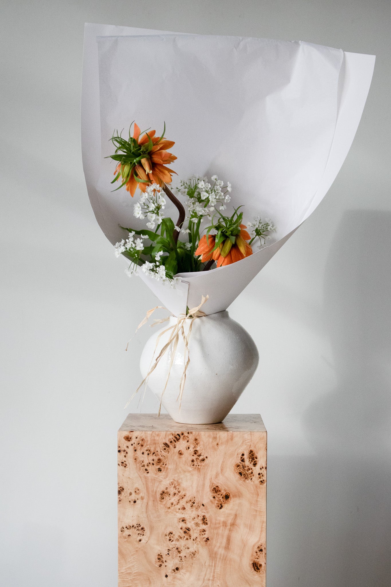 COMPLEMENT VOL 06 - LARGE