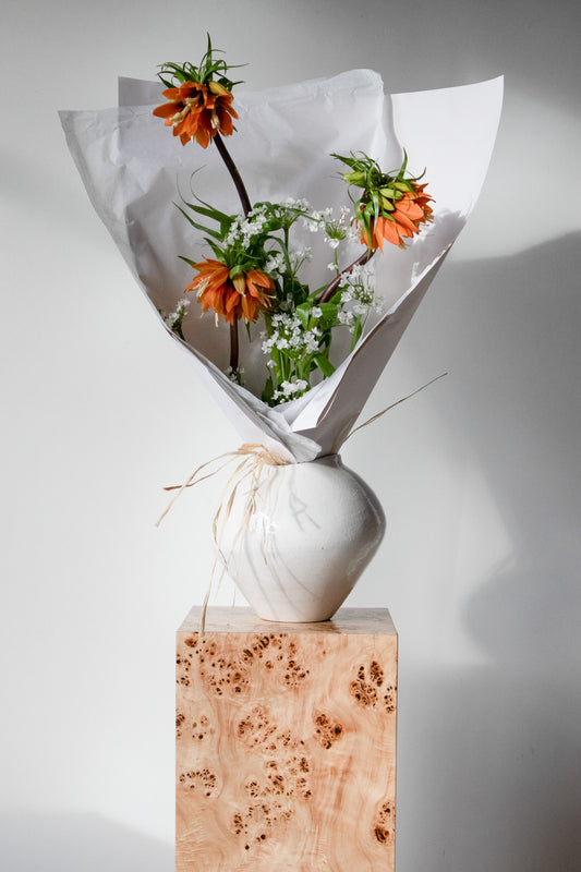 COMPLEMENT VOL 06 - EXTRA LARGE