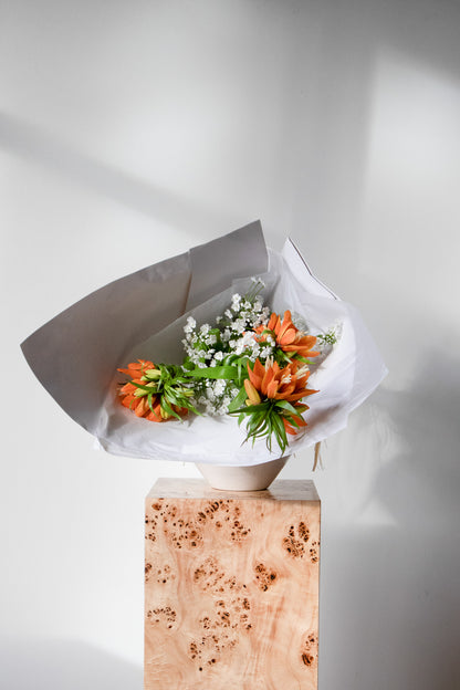 COMPLEMENT VOL 06 - EXTRA LARGE