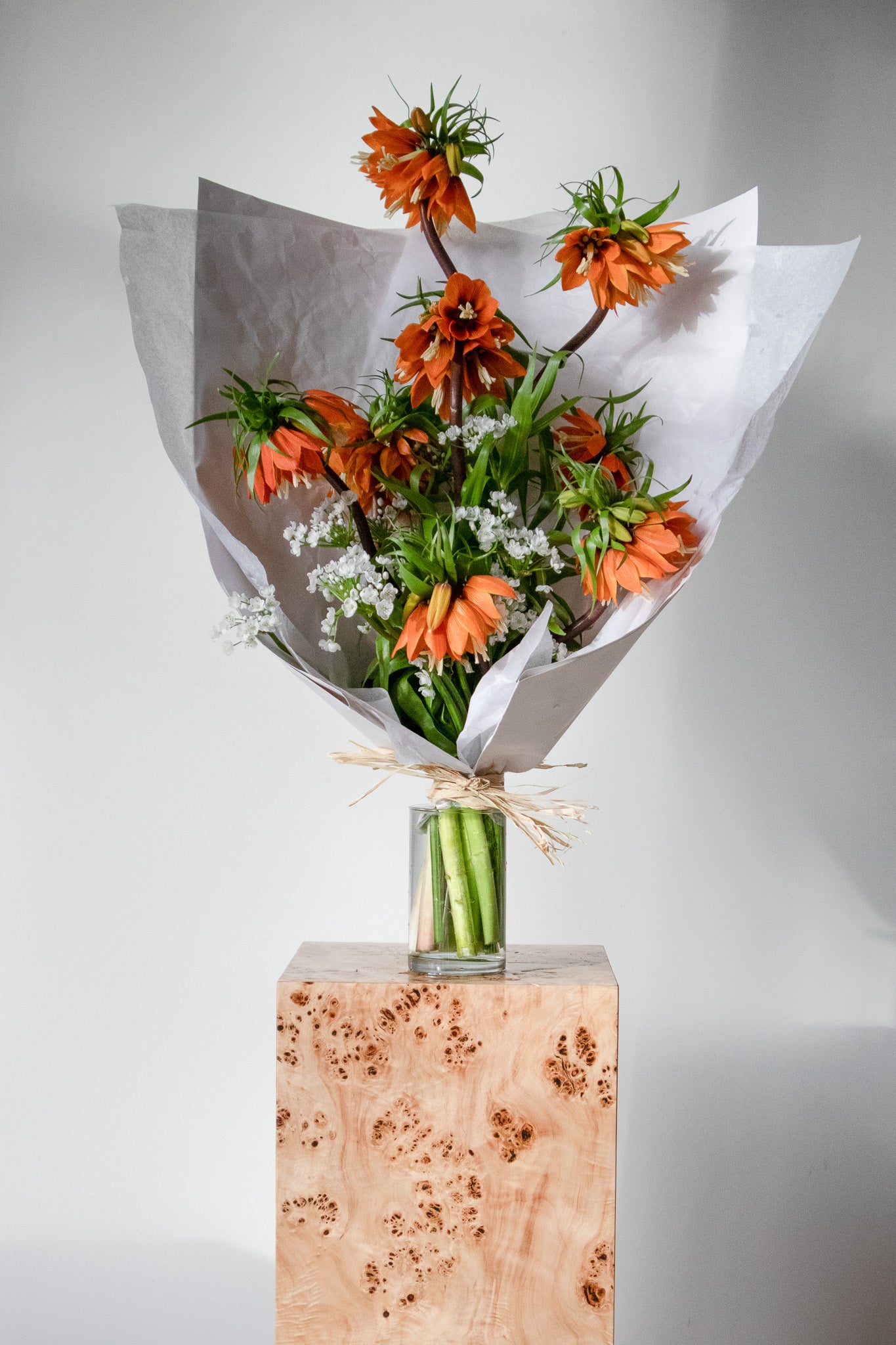 COMPLEMENT VOL 06- VASE
