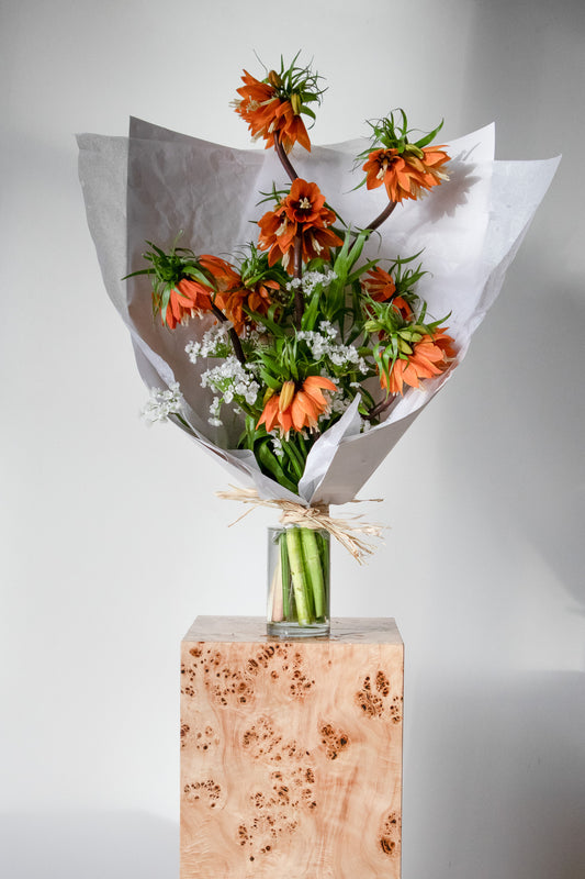 COMPLEMENT VOL 06- VASE
