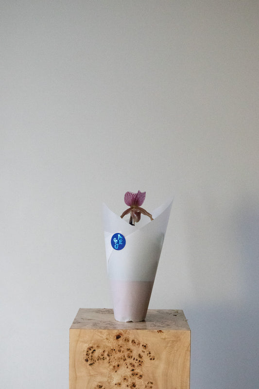 LOVE NOTES VALENTINE'S - POTTED SLIPPER ORCHID